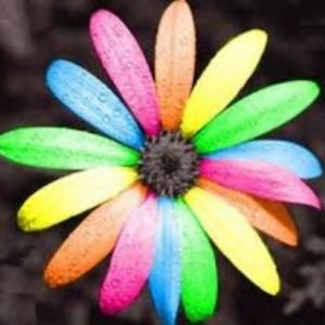 Meet your Posher, Cierra